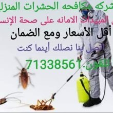 شركه مكافحه الحشرات المنزليه